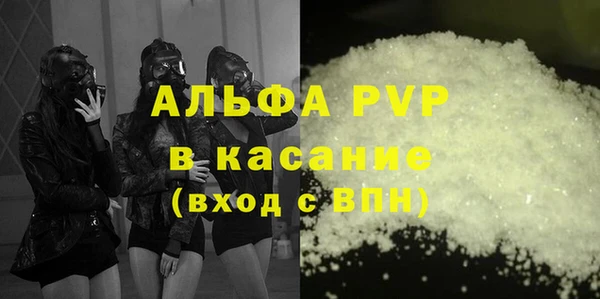 гашик Верея