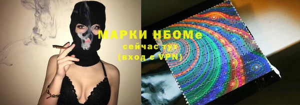 гашик Верея