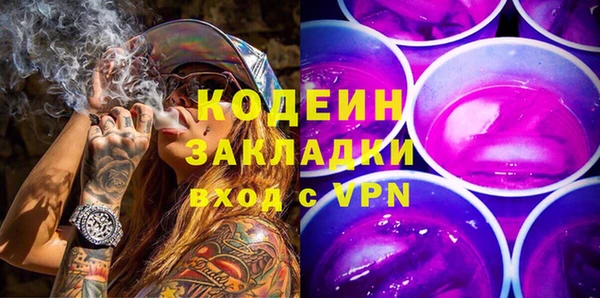 гашик Верея