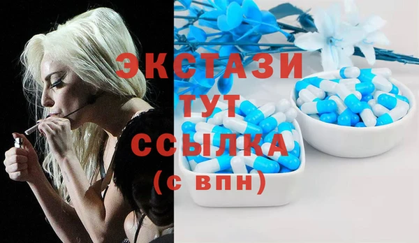 гашик Верея